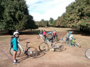 دورة دراجات هوائية