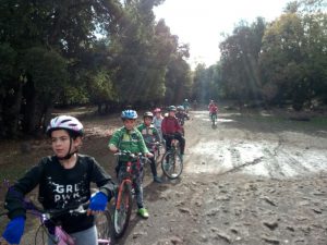 دورة دراجات هوائية