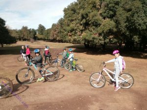 دورة دراجات هوائية