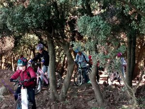 دورة دراجات هوائية